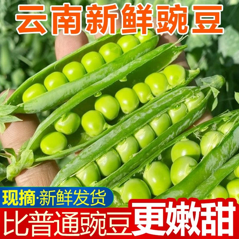 (水果豌豆2)水果甜脆豌豆云南新鲜带壳水果甜脆豌豆3斤/5斤1斤