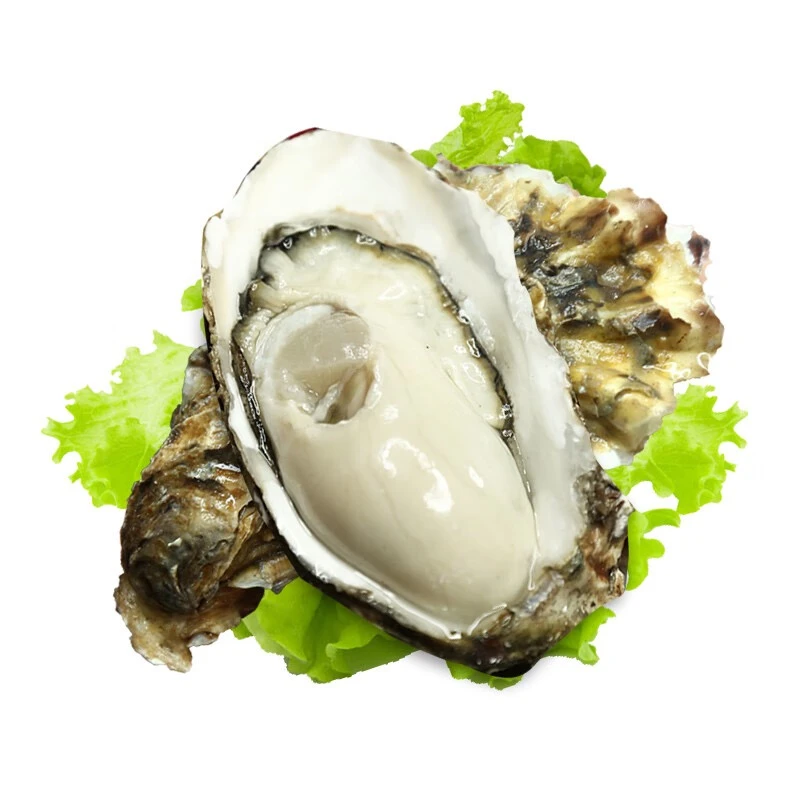 鲜活生蚝肉嫩鲜甜