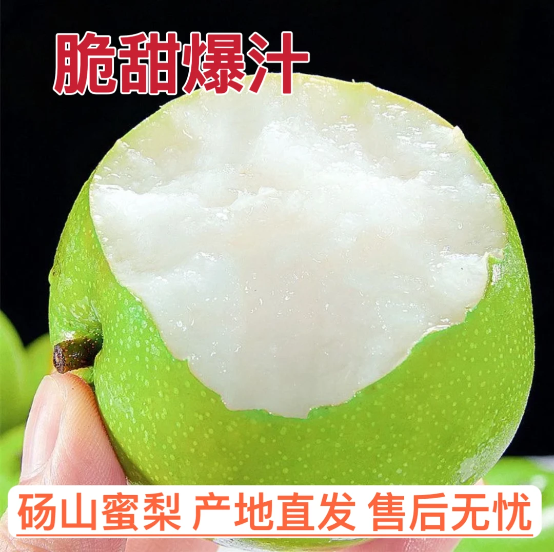 砀山青皮蜜梨现摘现发新鲜应季水果4.5斤包邮正宗砀山梨皮薄爆汁