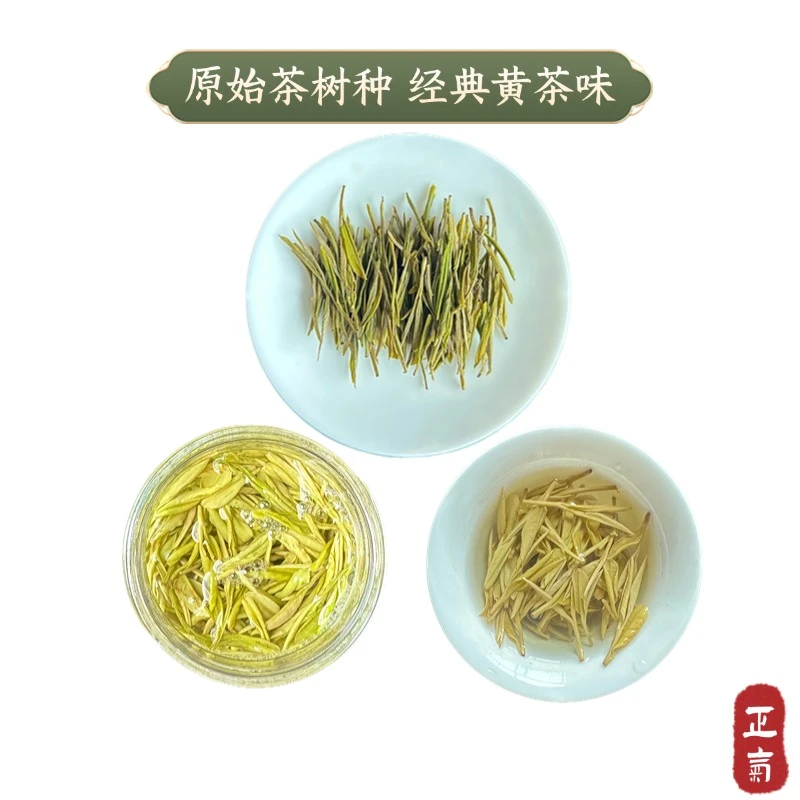 （第一代茶树）香浓耐泡安吉昆铜高山黄金叶豆香花香金黄甘甜浓香