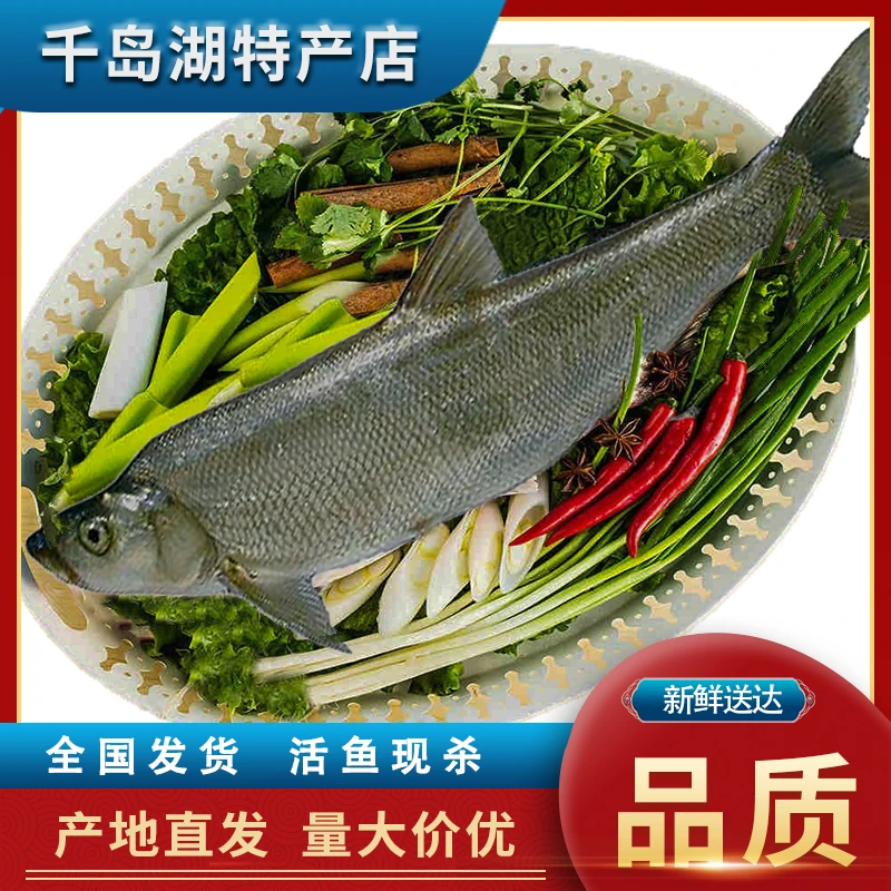 【活鱼】千岛湖白花鱼(浪里白条)原生态鱼顺丰包邮〖活鱼发货〗