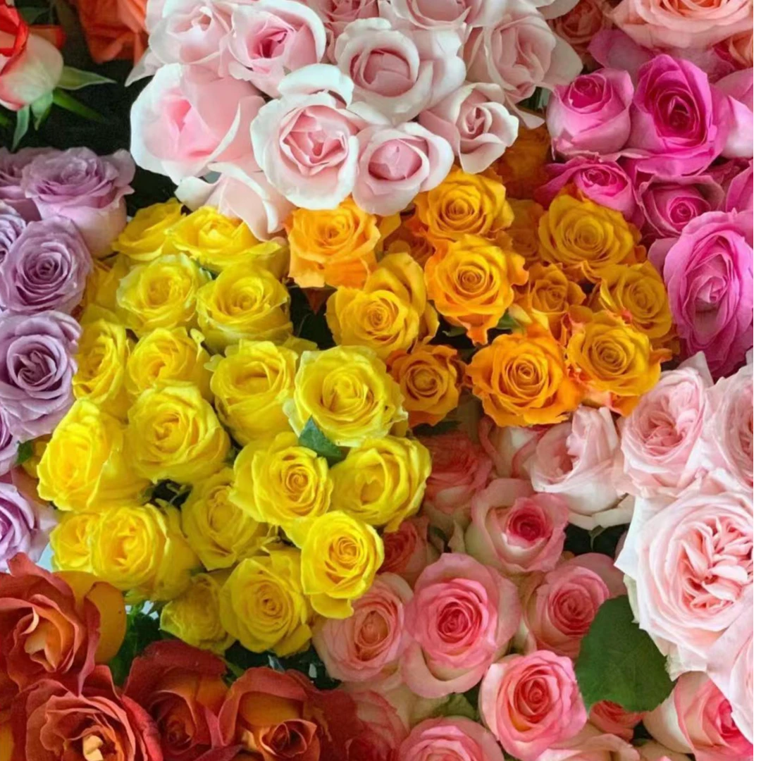 【一物一拍  鲜花】弗洛伊德+绿桔梗+尤加利