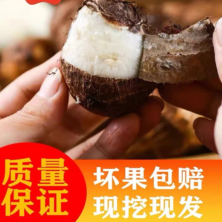 江西小芋头5斤赣南农家毛芋子新鲜芋子现挖粉糯滑红芽芋子