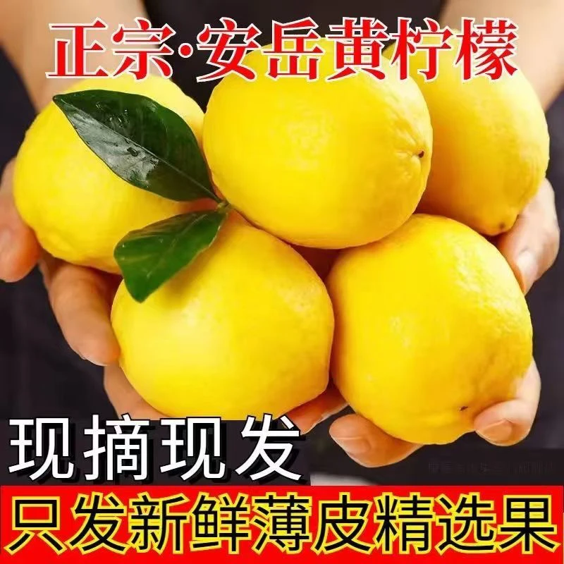 安岳四川柠檬新鲜水果当季鲜果多汁整箱批发薄皮一级奶茶泡水