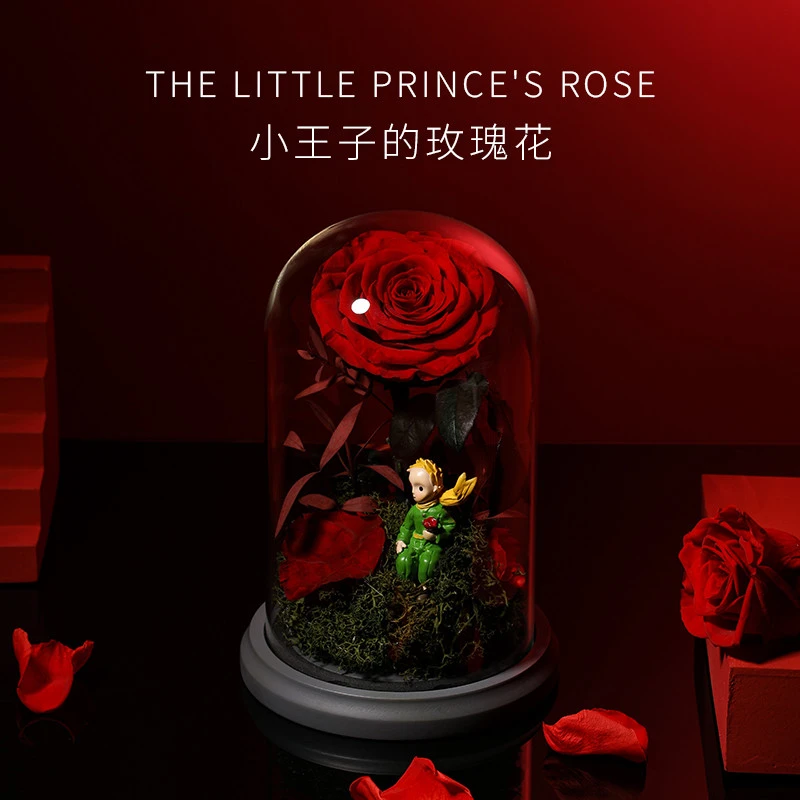 永生花小王子玫瑰花玻璃罩家居摆件 可爱送女朋友女儿礼物情人节