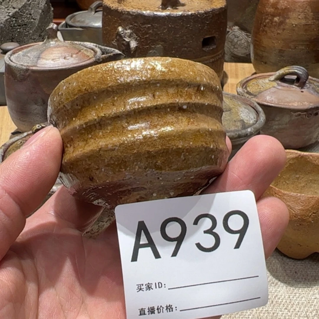 【闪购商品】陶猛****外森大雅