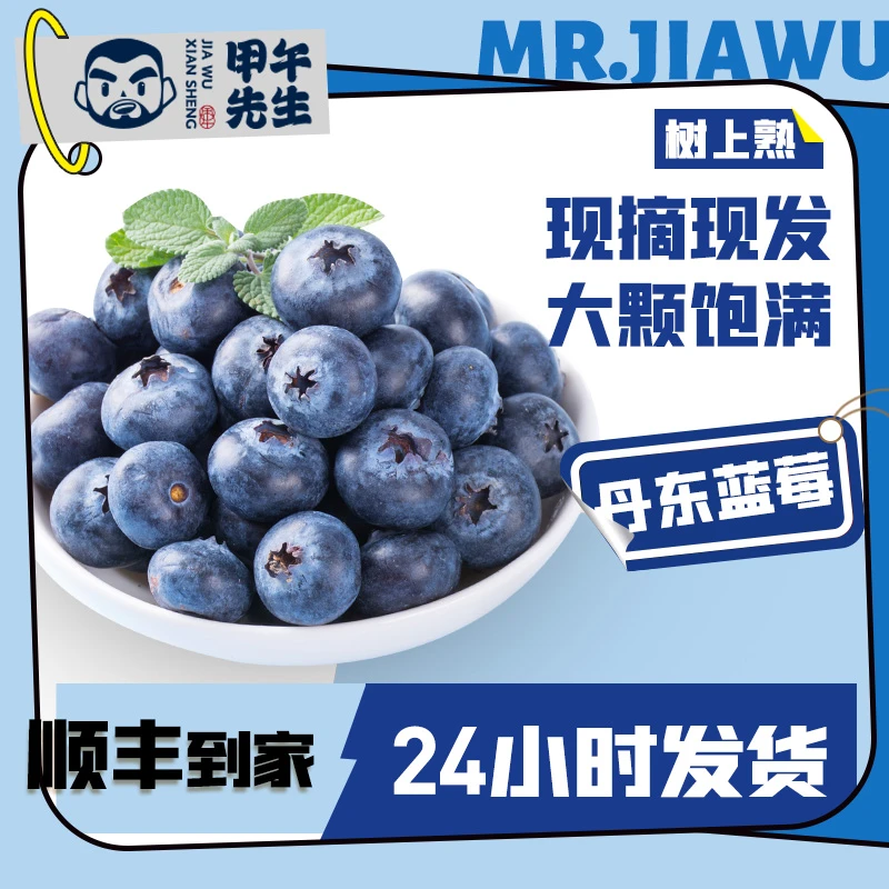 【头茬】新鲜丹东蓝莓现摘1/2斤非云南高山怡颗莓顺丰空运暖棚蓝莓