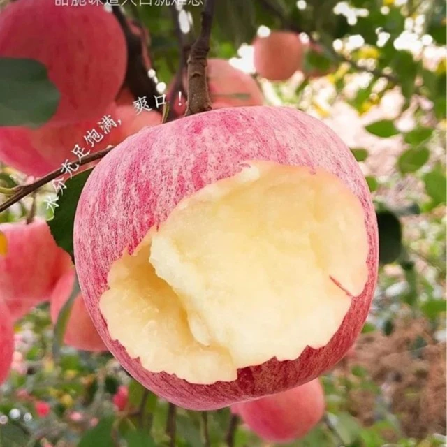 山东山区山地红霜苹果脆甜多汁自然饱满新鲜水果