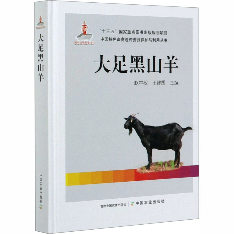 大足黑山羊 养殖