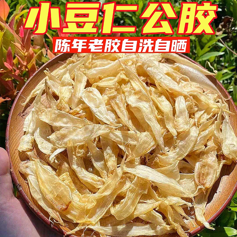 豆仁鱼胶花胶鱼鳔炖花胶汤孕妇滋补品大个豆仁胶公约400头50g试吃