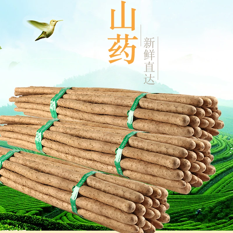 铁棍山药福利农产品大果长果子生鲜好吃麻山药新鲜香甜产地70-80