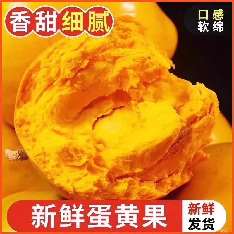 新鲜蛋黄果当季热带水果特产鸡蛋果孕妇现摘现发箱1斤起