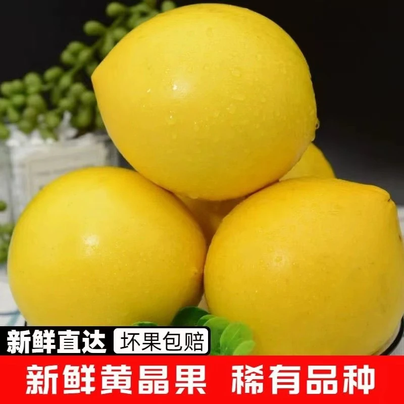 【顺丰包邮】海南黄晶果新鲜黄宝石高端水果孕妇1斤起现摘现发