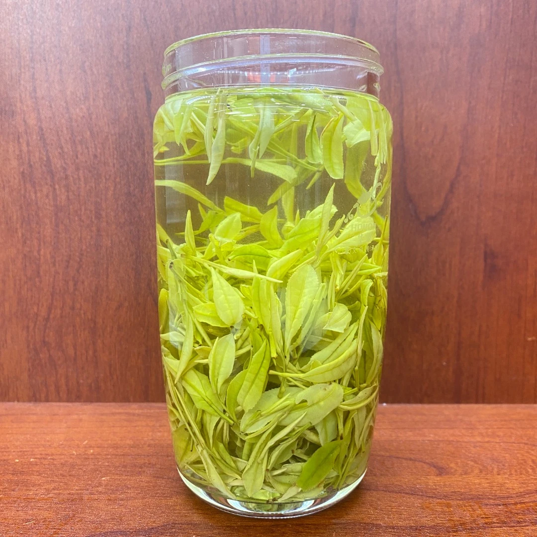 ~2023年春茶新茶480黄金芽