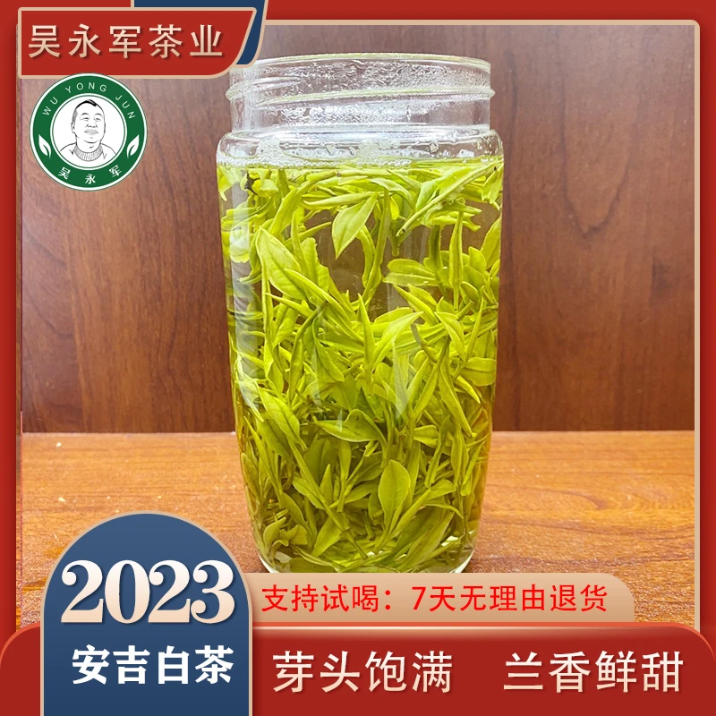 ~2023年春茶新茶528安吉白茶