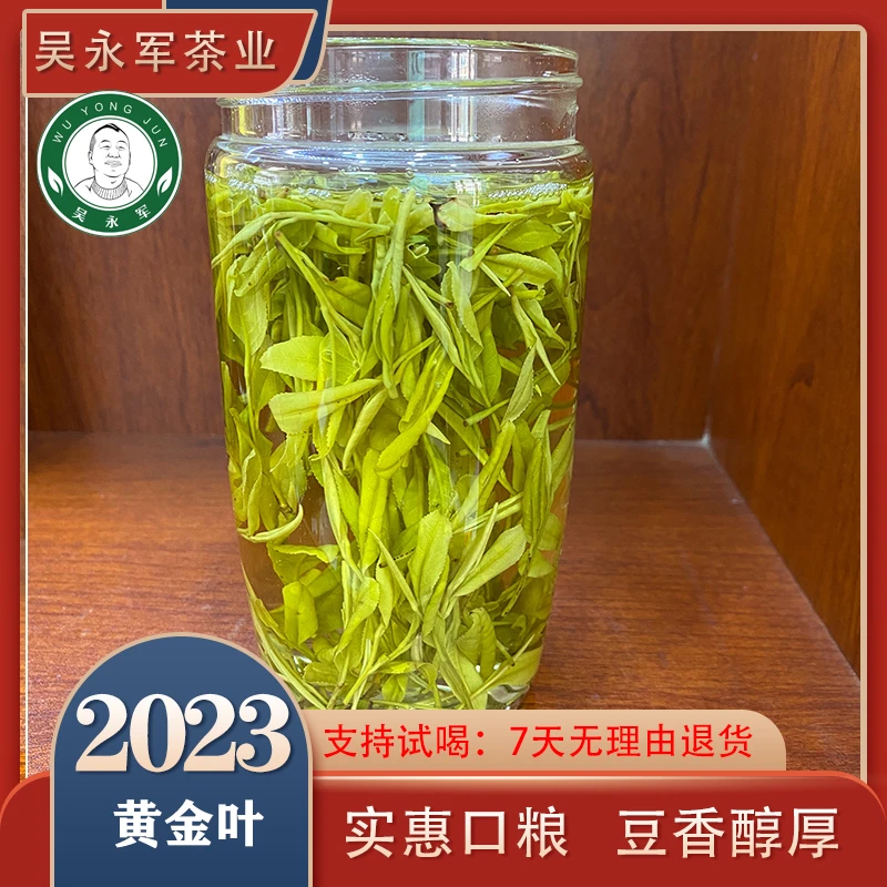 ~2023春茶新茶258黄金叶