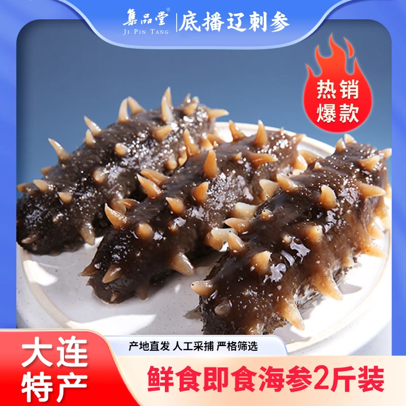 【底播辽参】500g×2袋共40-50只即食鲜活自然海洋海参营养冷冻口感