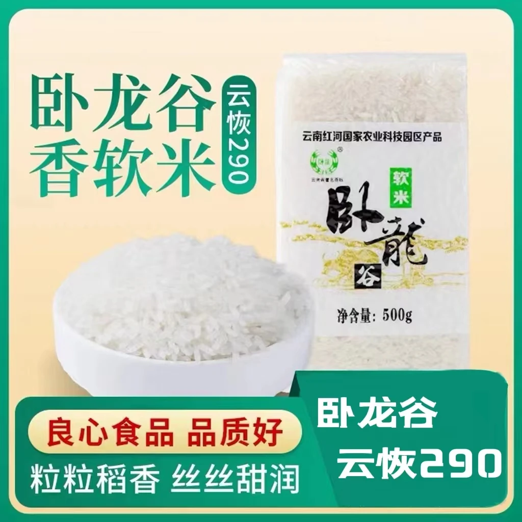 卧龙谷2025年新米  云南高原大米云恢290   包邮500g