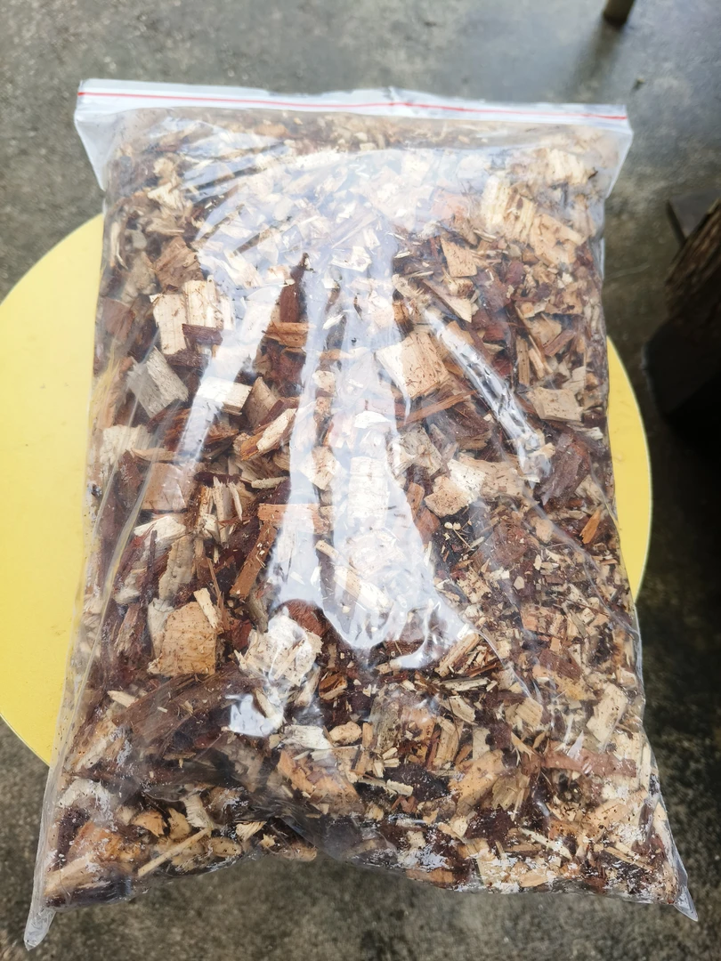 石斛种植盆栽换盆植料拍一发二