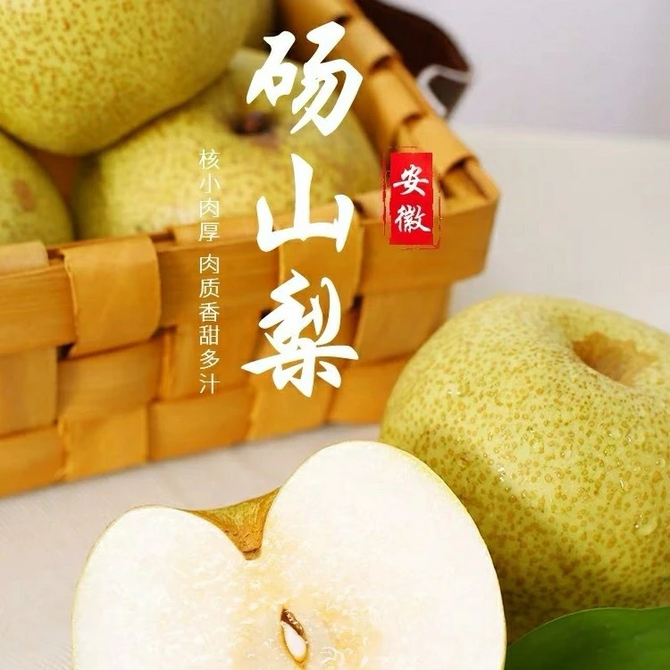 砀山酥梨现摘当季水果皮薄坏果包赔净重4.5-5斤单果250g以上5-9装