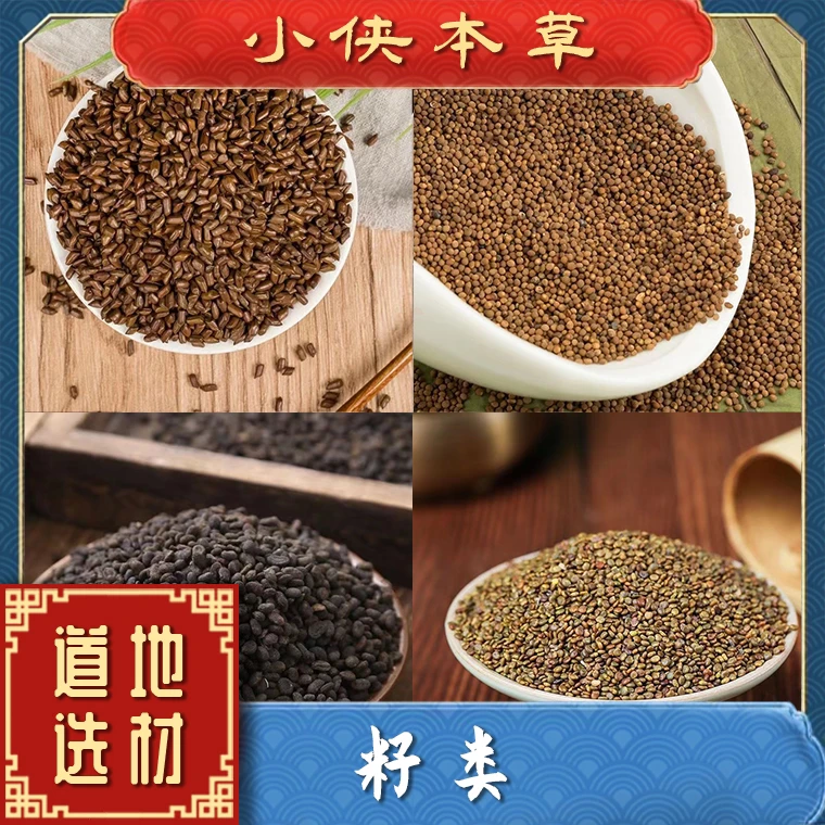 【小侠本草】精选决明子道地各种籽类韭菜籽补骨脂决明子莱菔子