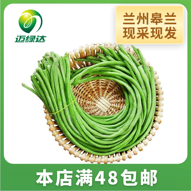 迈绿达龙豆 豇豆 新鲜 基地现摘 1斤
