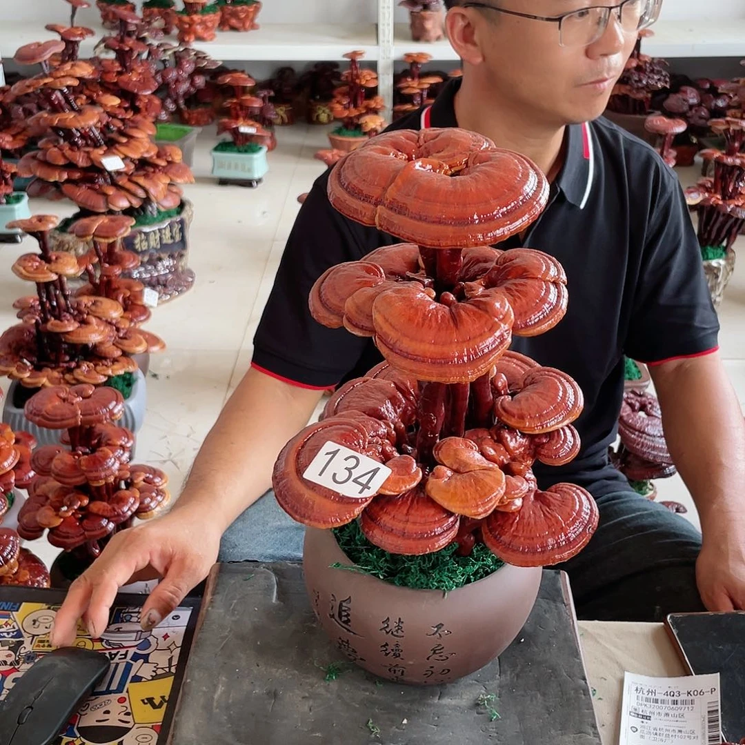 扬***，134.123456789