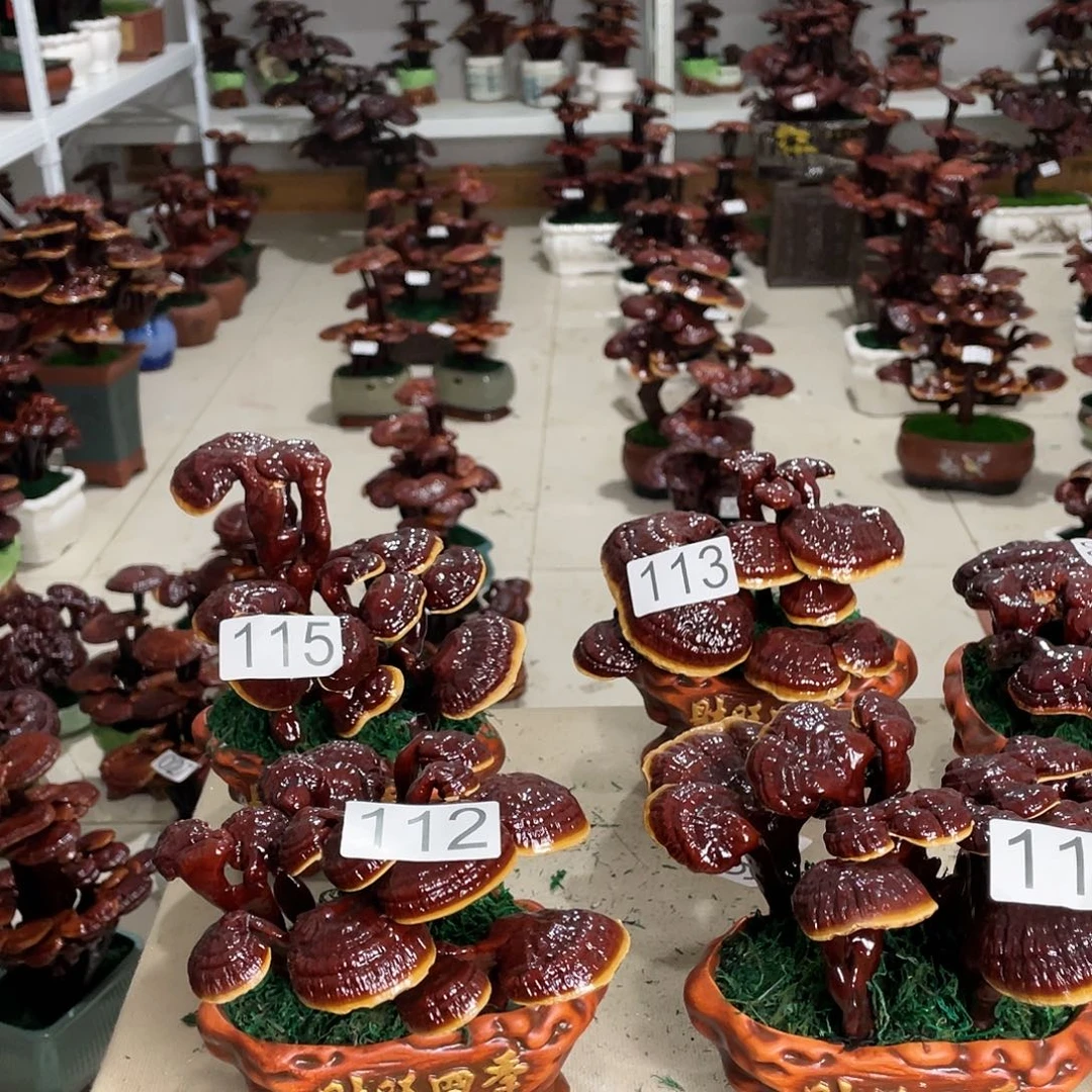 笑**唐1108888888888888888888888