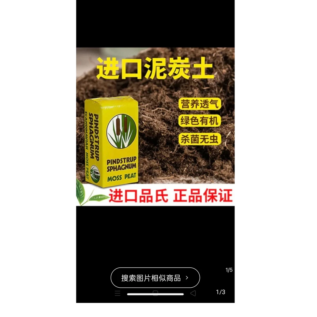 开播福利九尾狐土！五斤