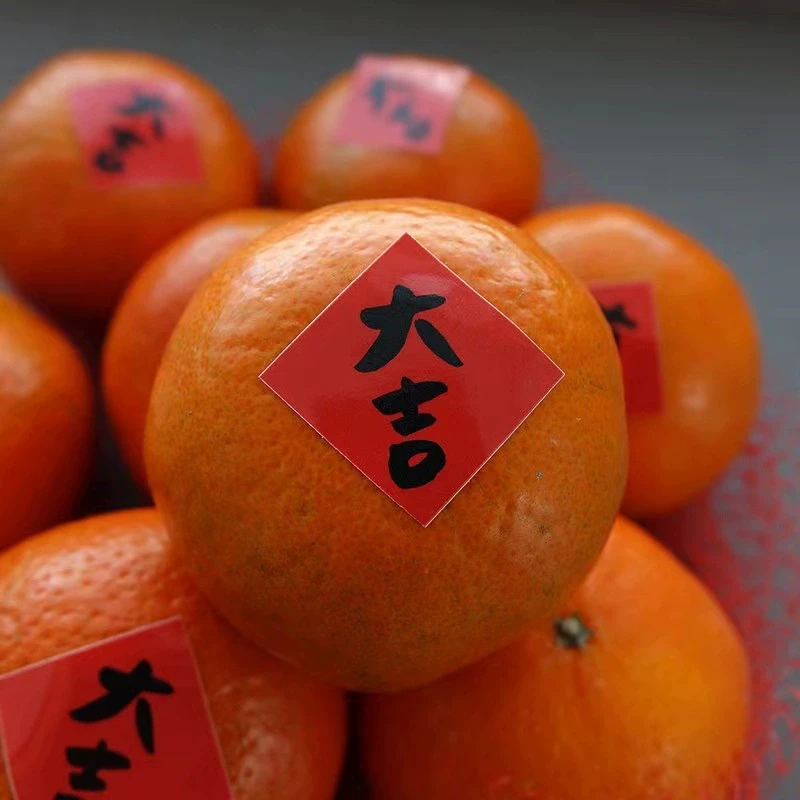 吉至2025新年毛笔字手写标签贴纸装饰标签结婚喜庆红色不干胶祝福