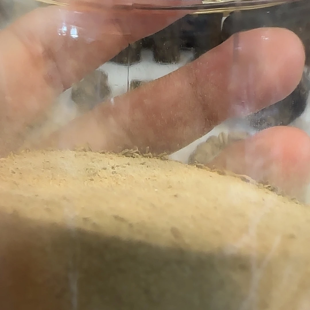 【闪购商品】香道类沉香粉10克