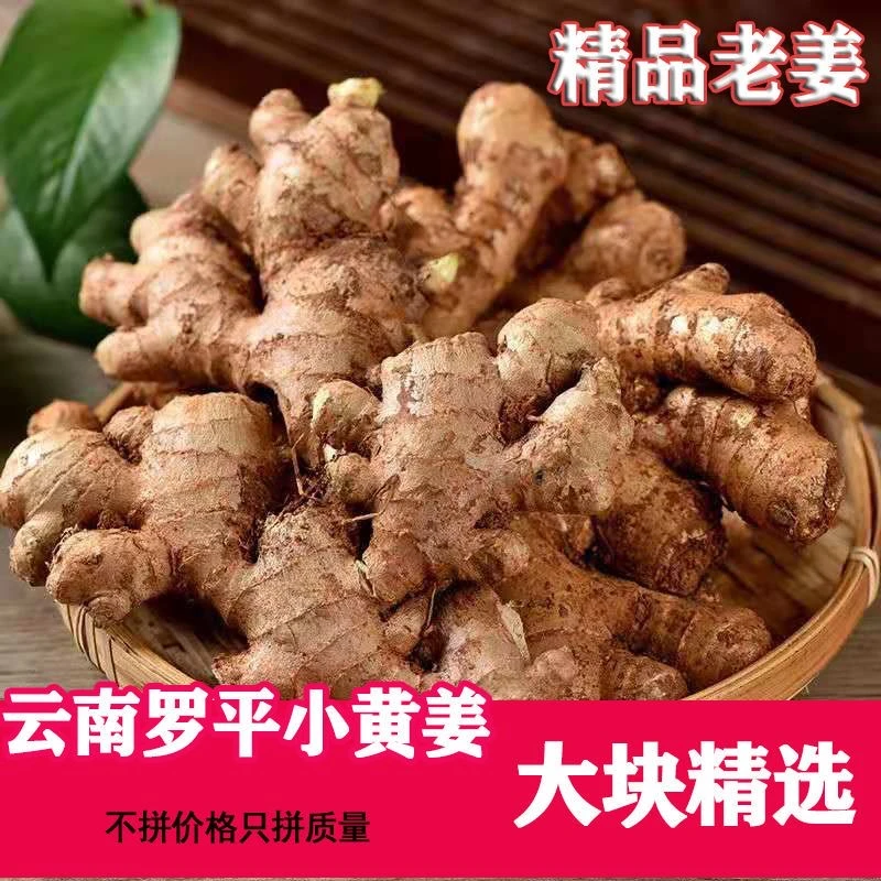 云南罗平小黄姜3年老黄姜生姜1-9斤装