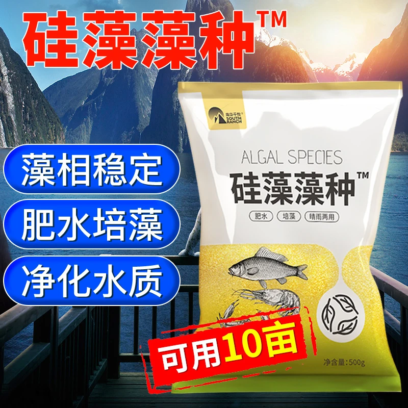 硅藻藻种500g培养稳定氨氮培养稳定氨氮培养稳定氨氮培养稳定氨氮