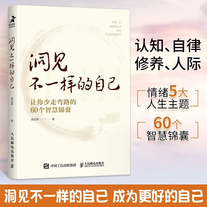 洞见不一样的自己：让你少走弯路的60个智慧锦囊洞见君优质精选集