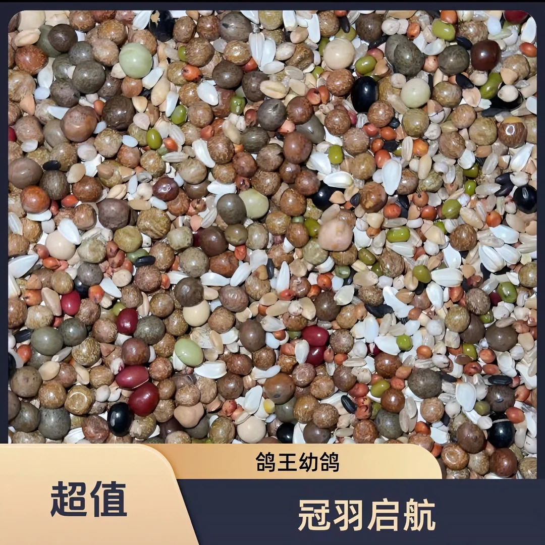 冠羽启航幼鸽组合粮赛鸽营养粮玉米豆类营养观赏鸽元宝圆环鸽粮