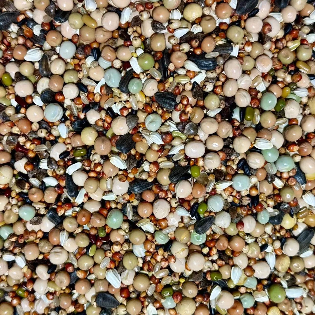 五谷杂粮50斤装包邮无小麦混合豆高蛋白元宝圆环赛鸽鸽粮