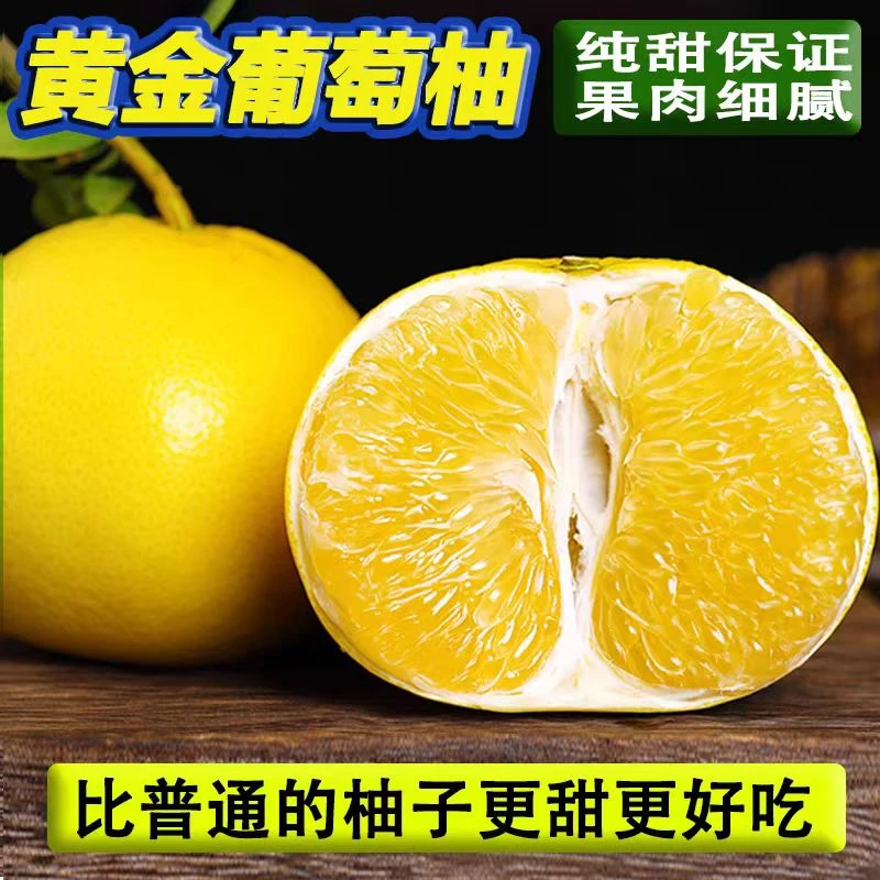 【送榨汁器】福建漳州黄金葡萄柚新鲜现摘皮薄汁多水果 果园直销