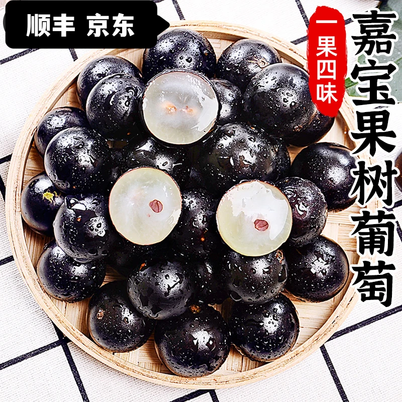 顺丰到家正宗嘉宝果当季新鲜水果树葡萄水果少见稀有鲜果优选