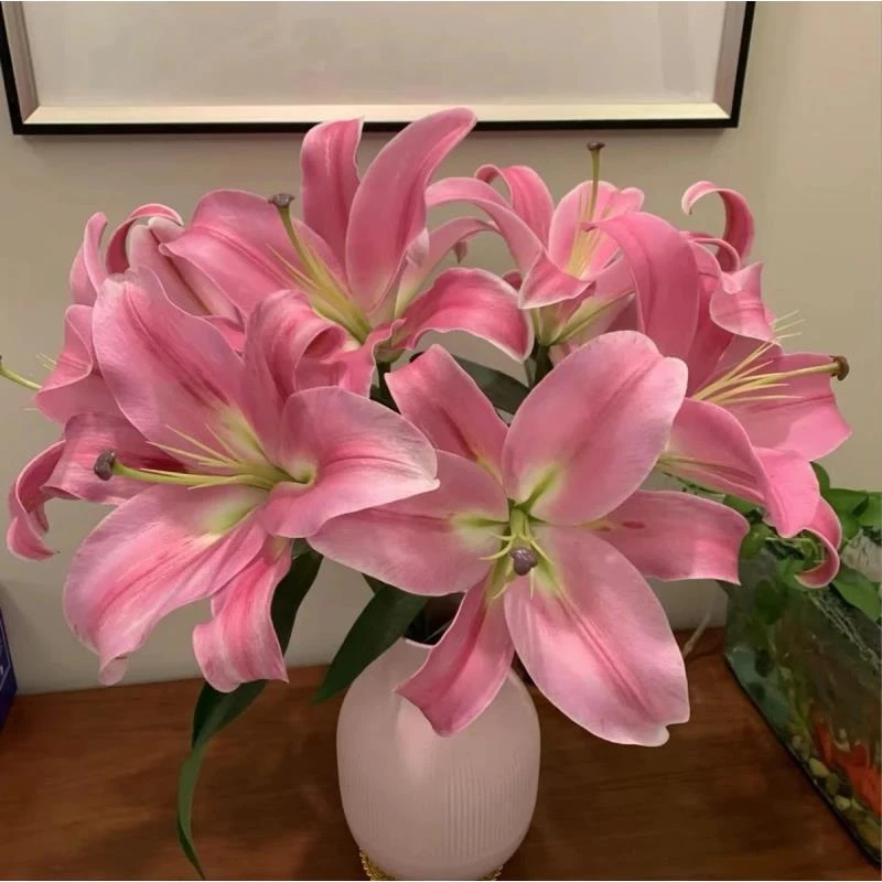 普拉芬多香水百合【一单中通两单顺丰】