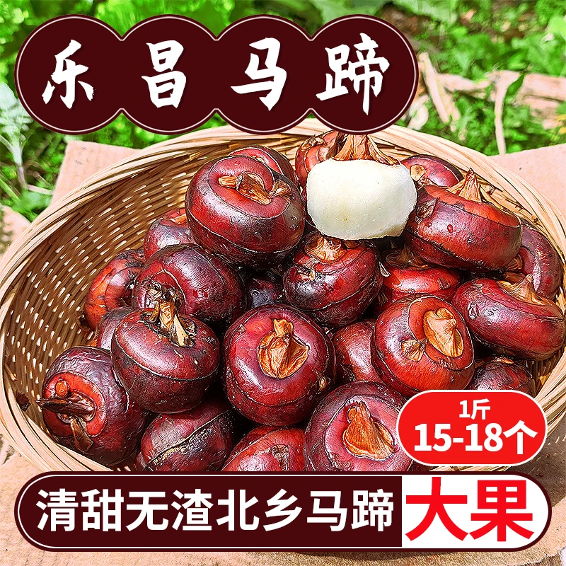 乐昌北乡马蹄大果应季新鲜水果荸荠脆甜无渣生吃5斤/10斤水果马蹄