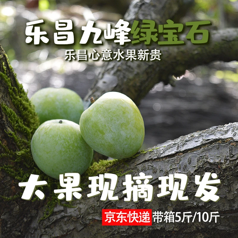 乐昌九峰翡翠奈李大果绿宝石新鲜现摘当季水果脆甜油奈李子5/10斤