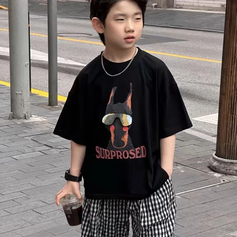 220克重磅纯棉中大童童男夏季短袖2025T恤新款儿童卡通洋气半袖