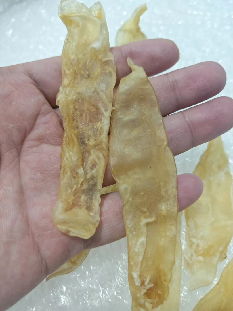 【新号捡漏】小瑕疵丑胶佐罗胶深海咸水黄花胶鱼胶花胶煲汤炖奶甜品