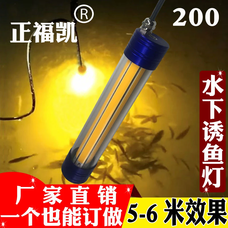 正福凯水下灯12v强光大功率鱿鱼冰钓公鱼夜钓灯下水灯诱鱼灯