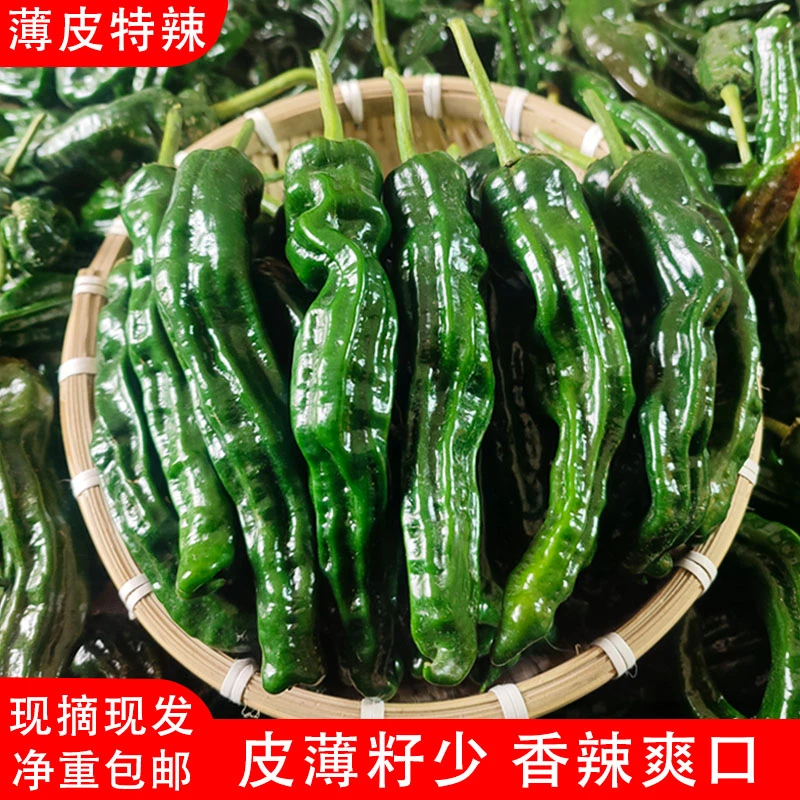 （顺丰包邮）特辣辣椒新鲜蔬菜薄皮青椒超辣小皱皮农家自种土辣椒
