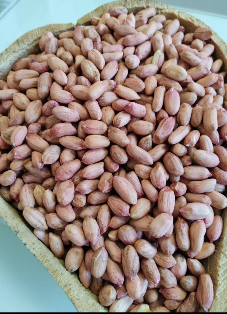 【胡敏力严选】荣成特产 本地饱满花生米干瘪花生米