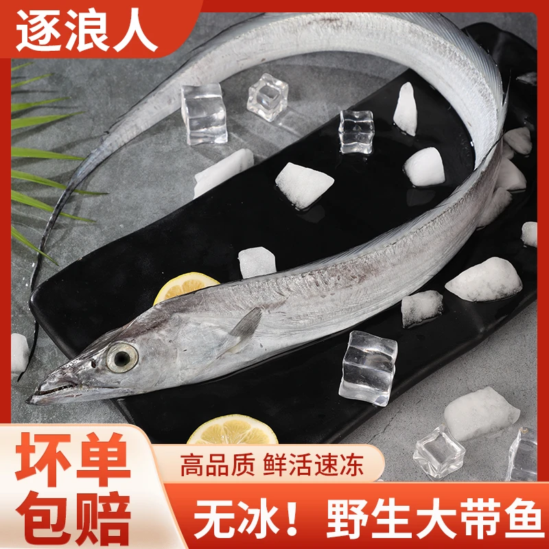 【当季野生海捕】整条黄海小眼油带鱼 5-6两/条 大号鲜带鱼到手8条L