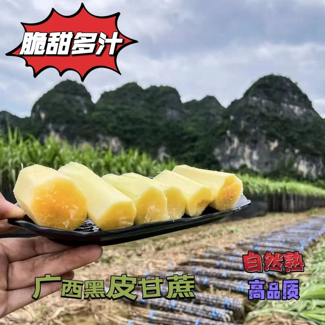 【水果甘蔗】福利黑皮甘蔗  精选中段 广西阳朔 脆甜多汁 9斤