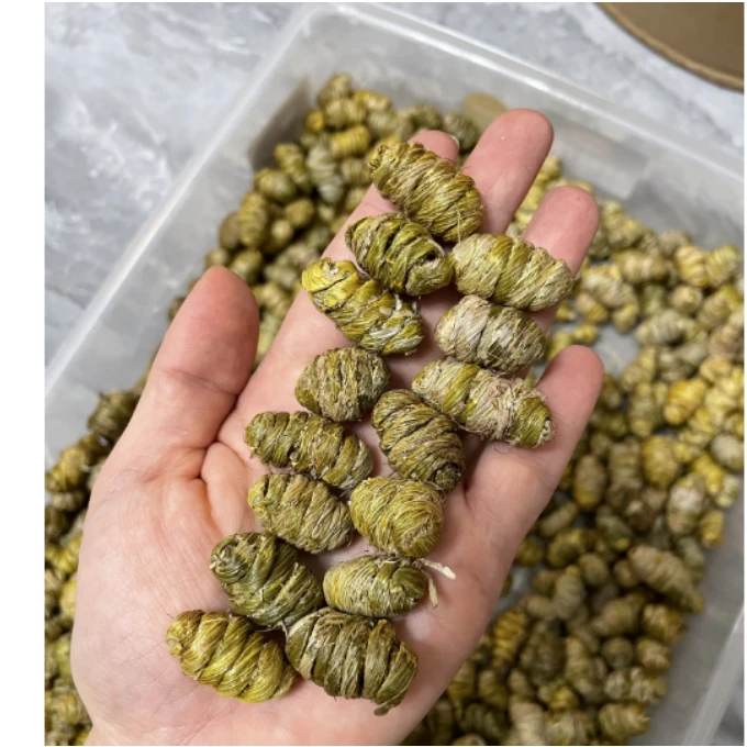 （滋福甄选）石角斗