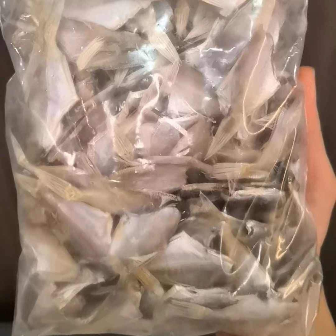 拨皮鱼 鱼干